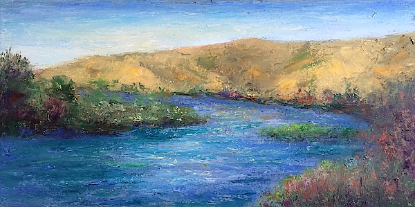 While There's Still Light by Shannon Grissom While There's Still Light by Shannon Grissom